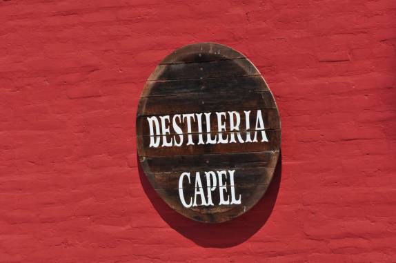 Visitando a destilaria capel, no Valle del Elqui, no Chile